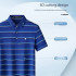 Pierre Cardin Men's Blue Striped Polo Shirt – Silk-Infused Cotton Blend P741TSA005ZQ5S